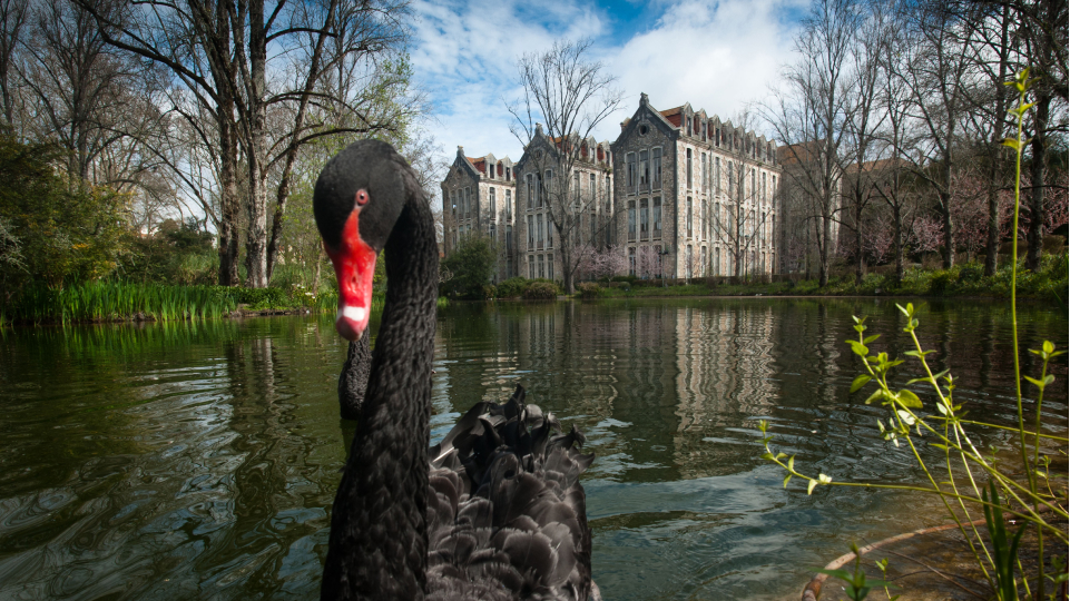 ART&TUR celebrates the 16th edition in the UNESCO creative city of Caldas da Rainha – Submissions are open until June 30th